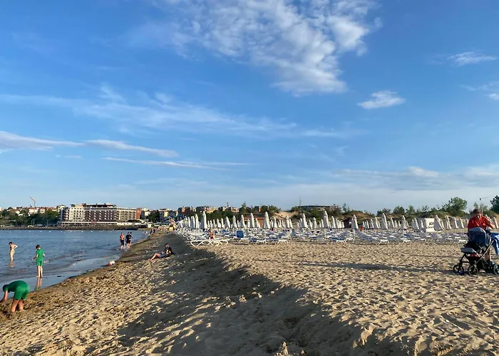 Sapphire 202 Sunny *